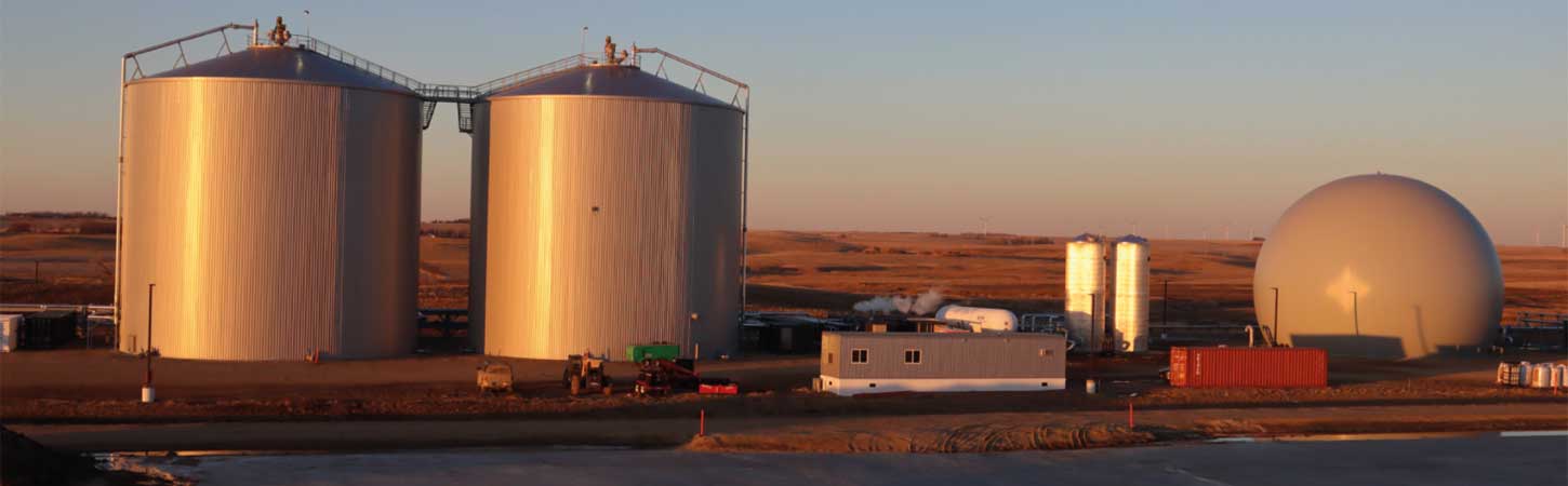 SJI Featured in Newsweek Vantage Report on Sustainable Agricultural Solutions