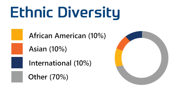 Ethnic Diversity